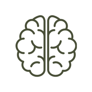 Minimalist black outline of a human brain on a white background.