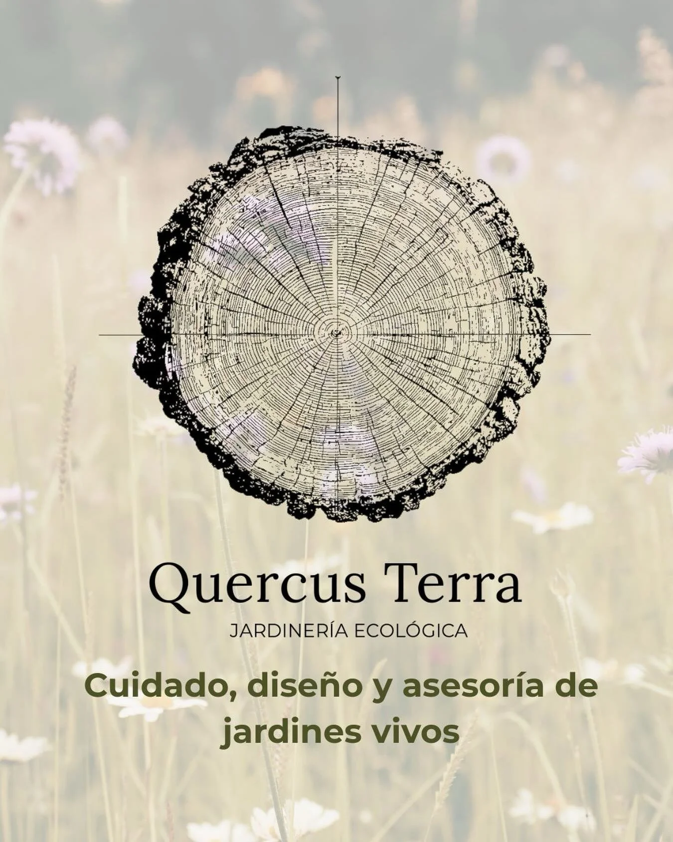 Quercus Terra nace de una forma concreta de entender los jardines.

Como sistemas vivos, en constante cambio, donde suelo, plantas y agua est&aacute;n profundamente conectados.
Trabajo desde un enfoque ecol&oacute;gico, combinando conocimiento t&eacu