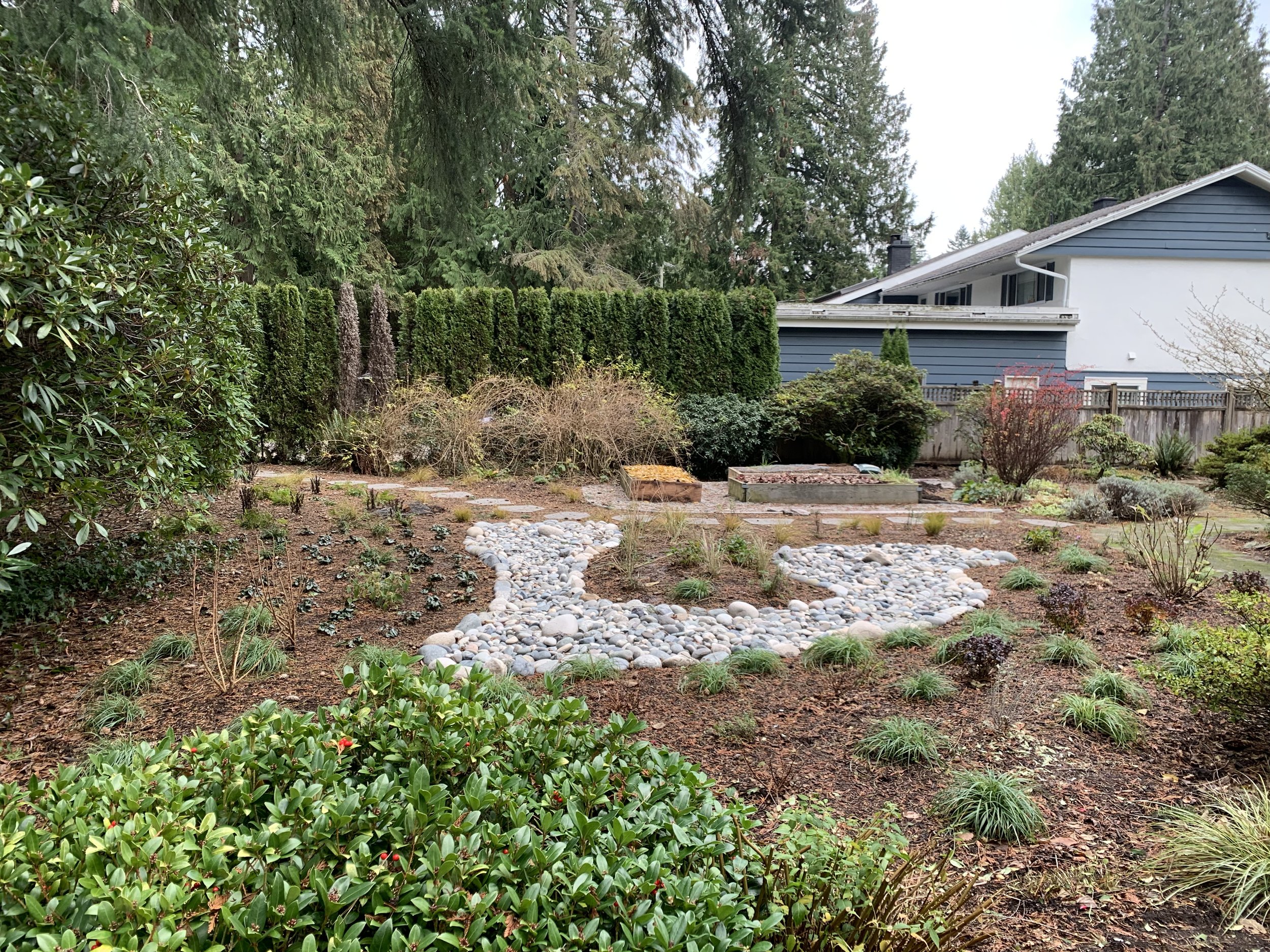 A backyard garden with plants, bushes, and trees, featuring a pebble pathway and a house with blue siding in the background.