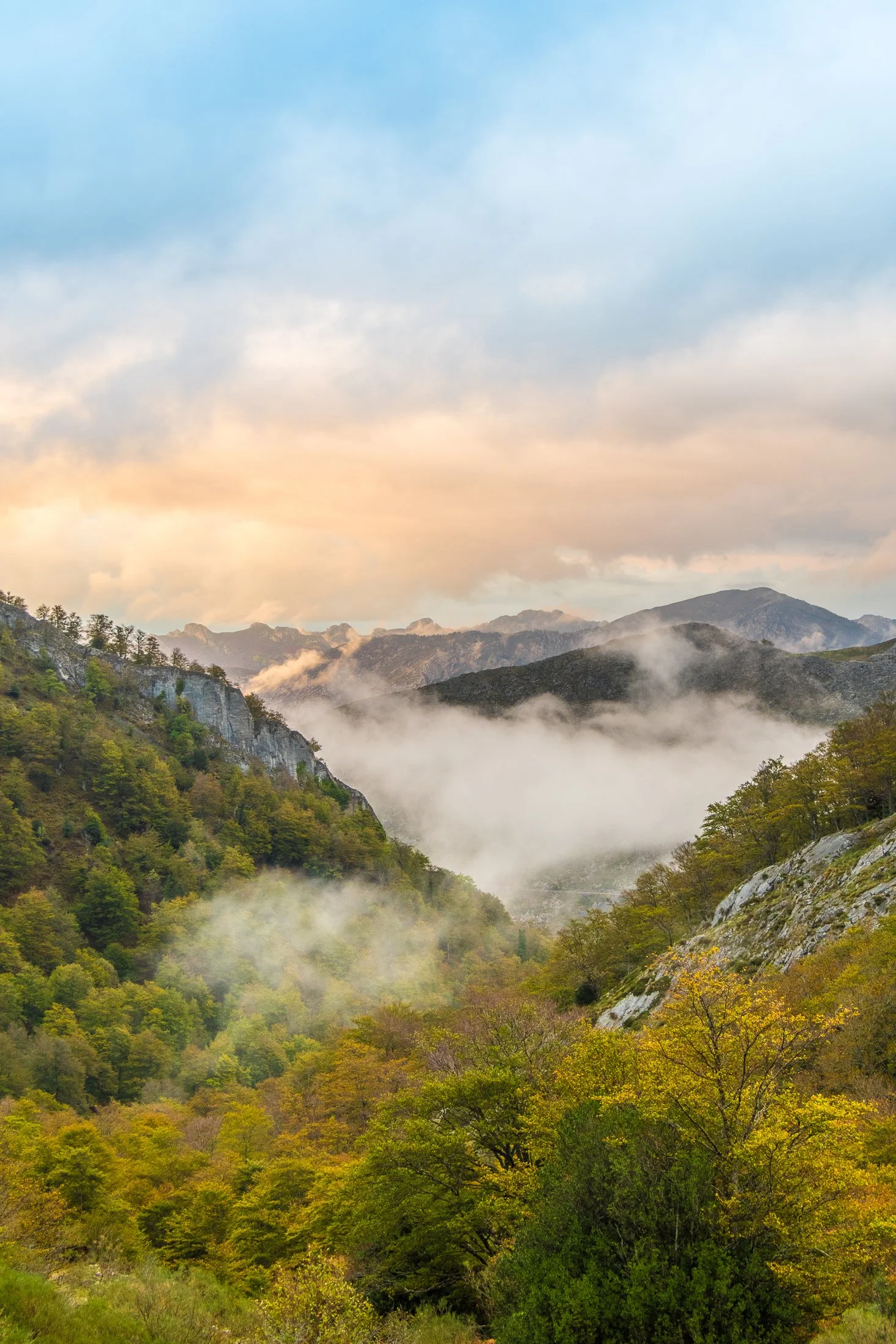 Mountain landscape with trees and fog, with sky and clouds above.