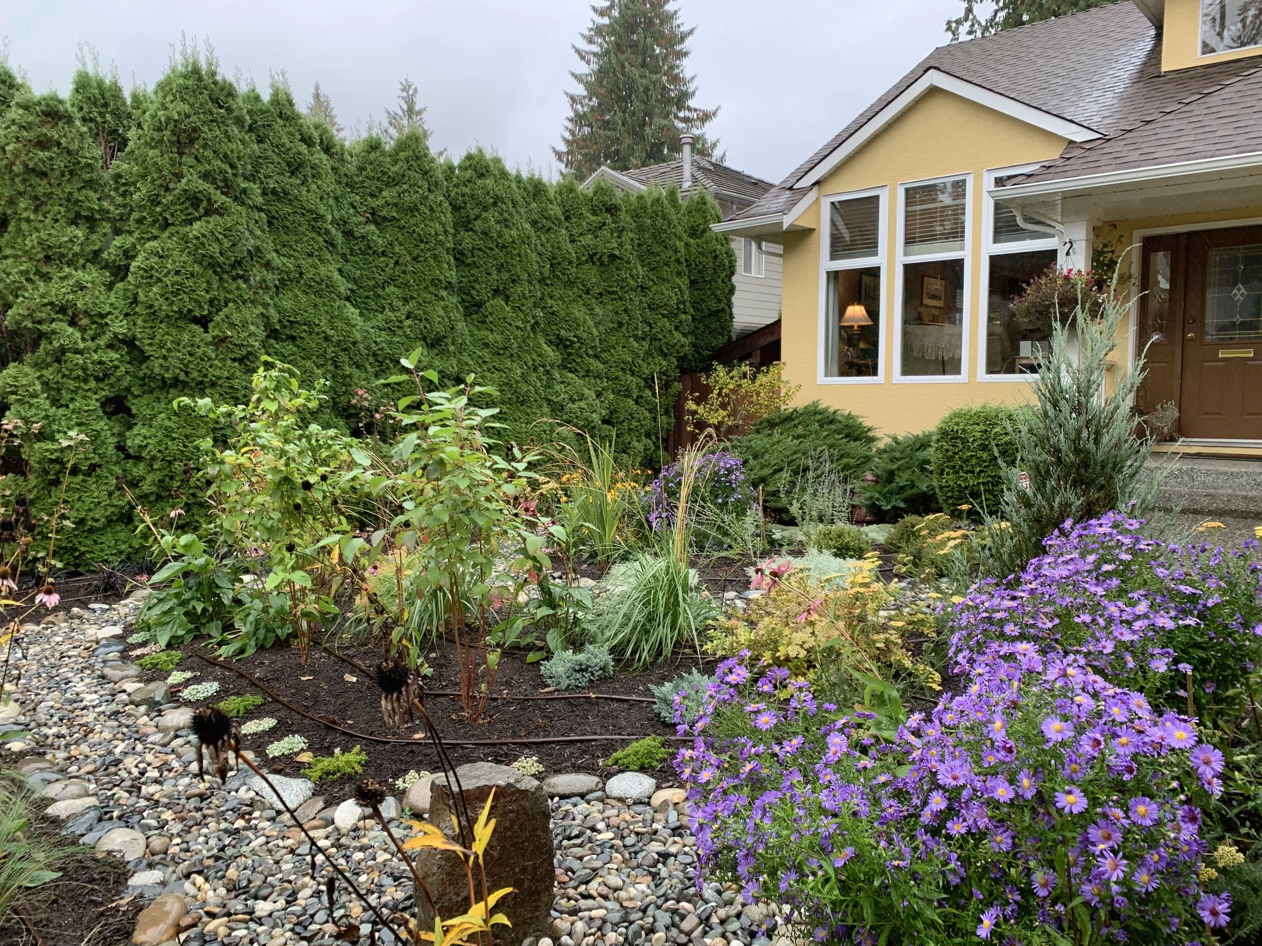 A garden in front of a yellow house with large windows, purple flowers, green bushes, and a gravel pathway under an overcast sky.