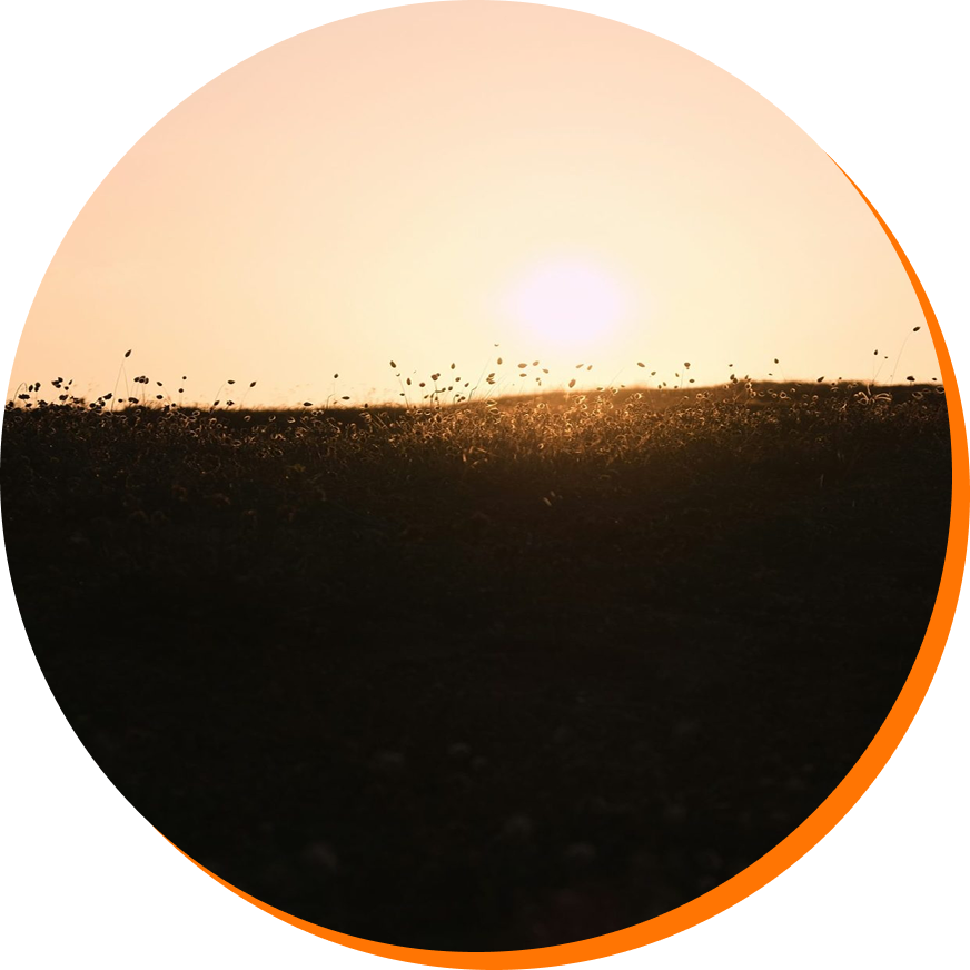 Coucher de soleil sur un paysage de champs ou de prairie