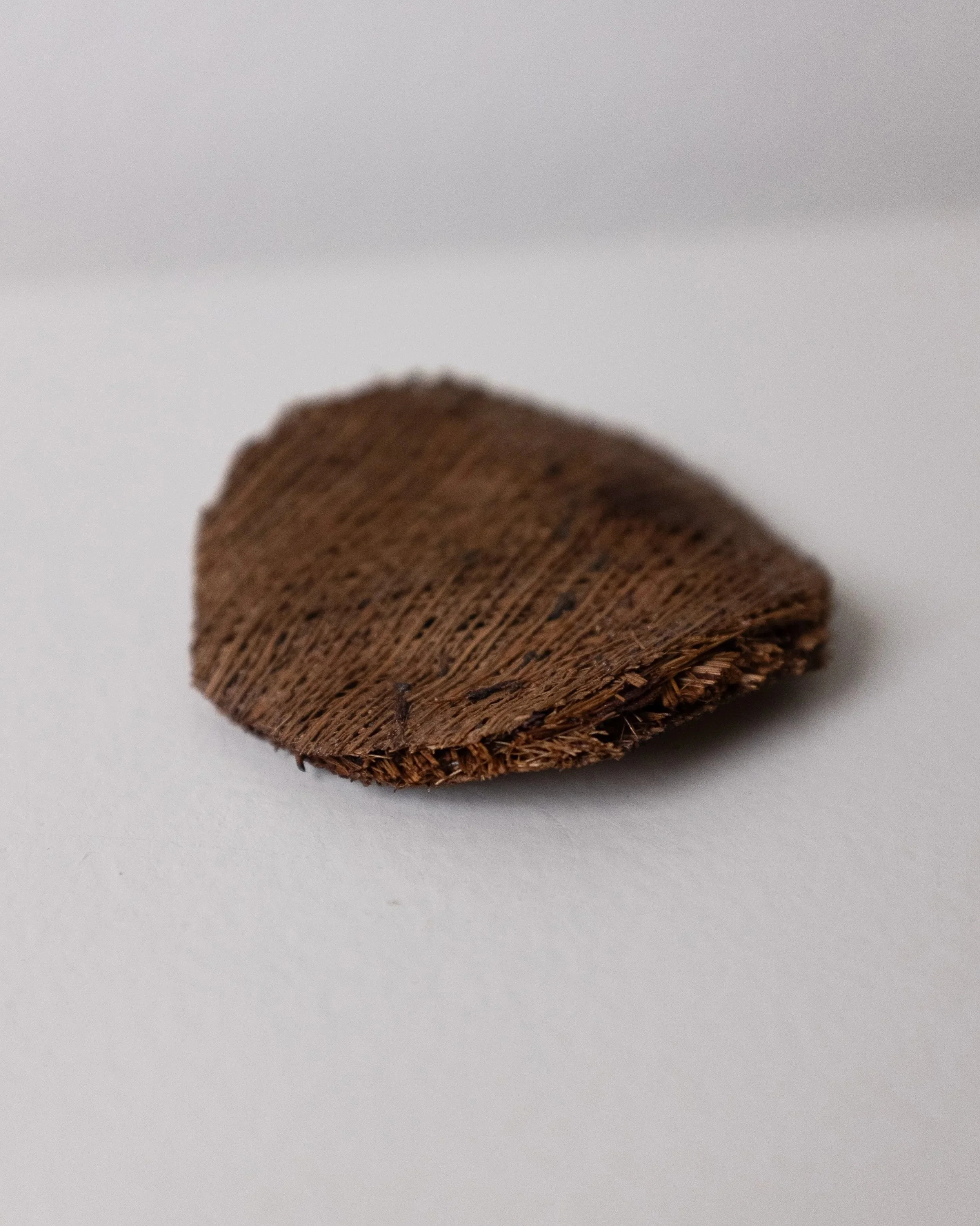 [RESEARCH TRIP GRANT | CAN COCONUT WASTE BE A TOOL FOR RESILIENCE? PHILIPPINES 2025]