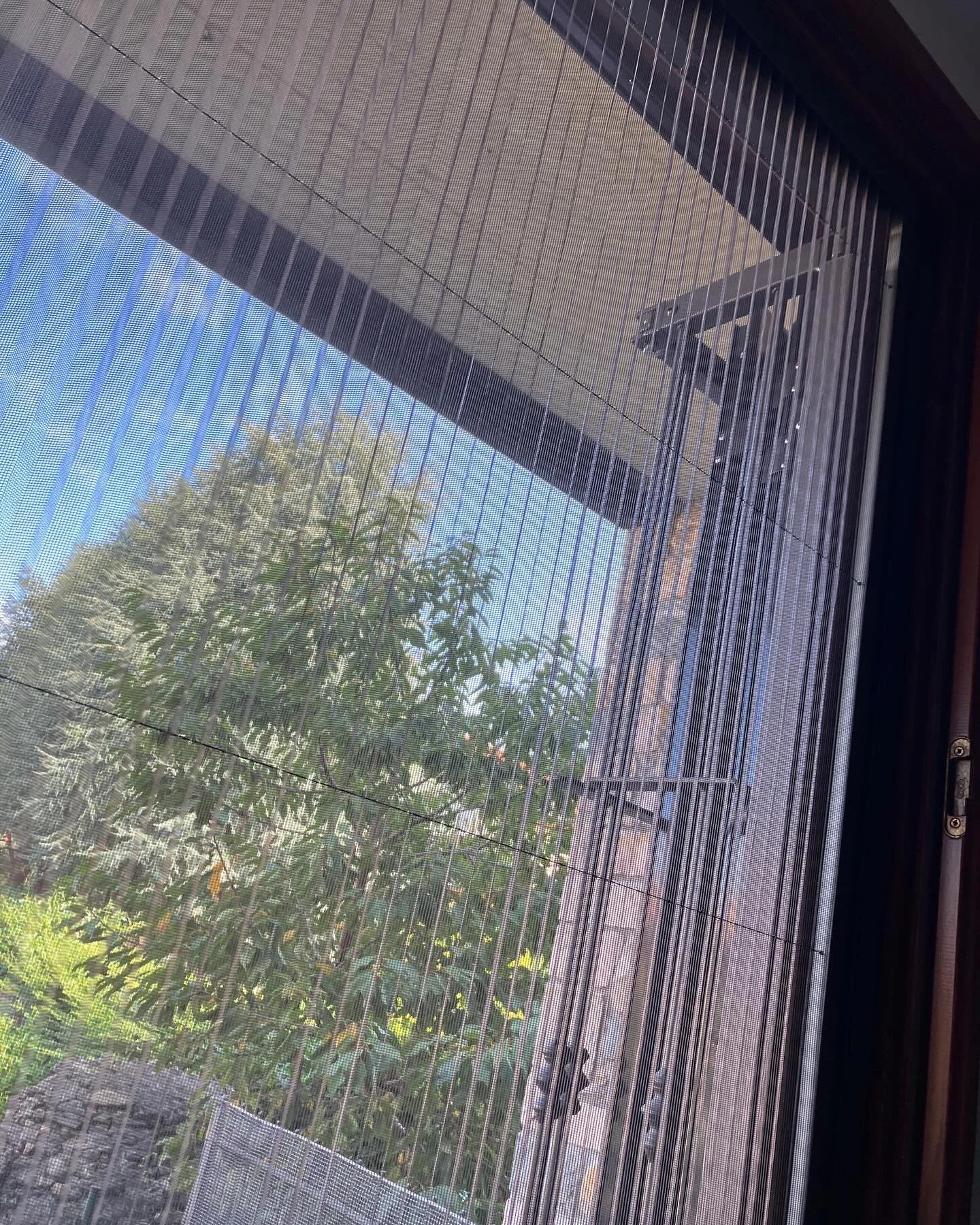 Vista da una finestra con zanzariera e parte di un colorato giardino con albero e piante.