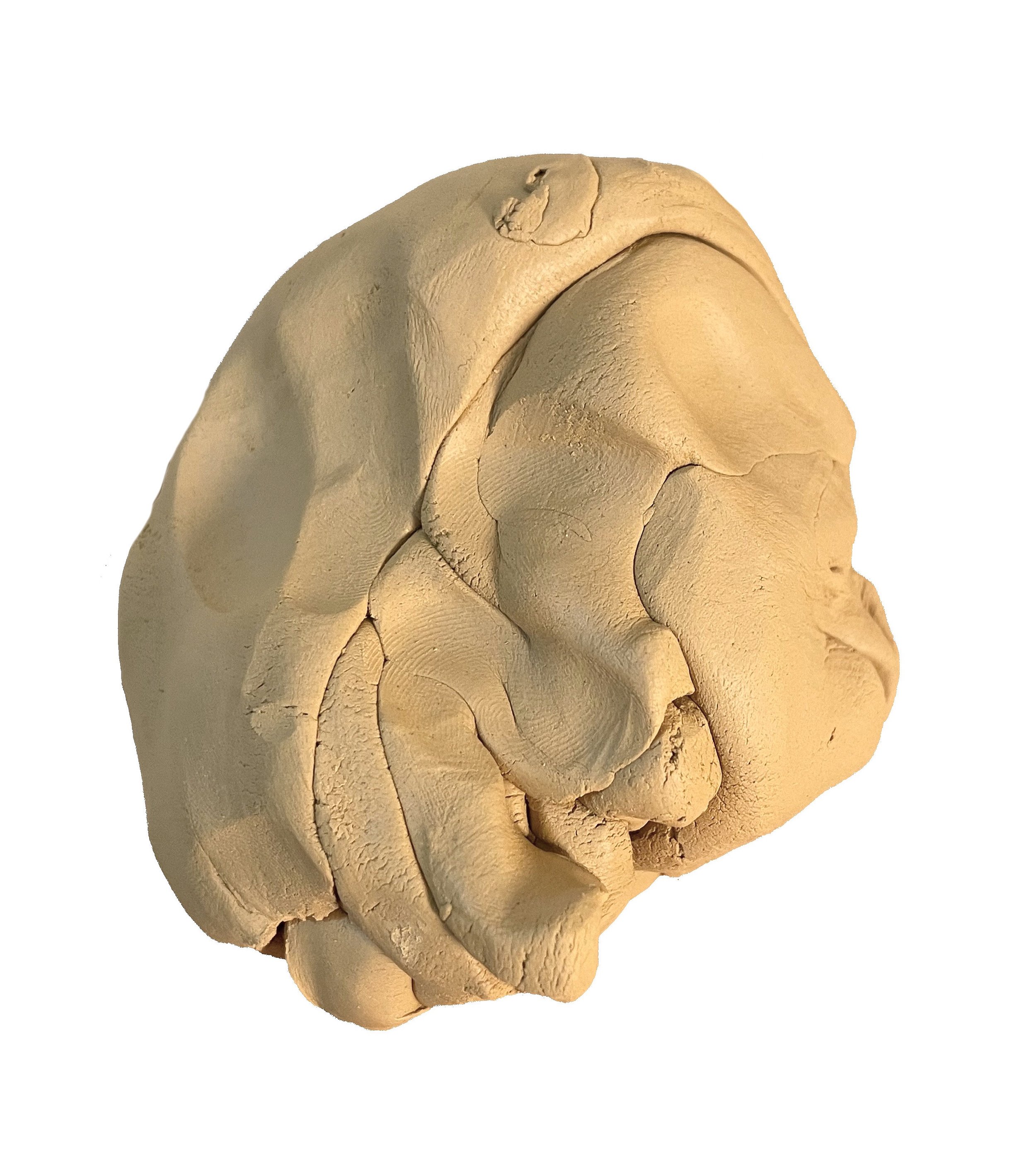 A blob of brown clay against a white background 