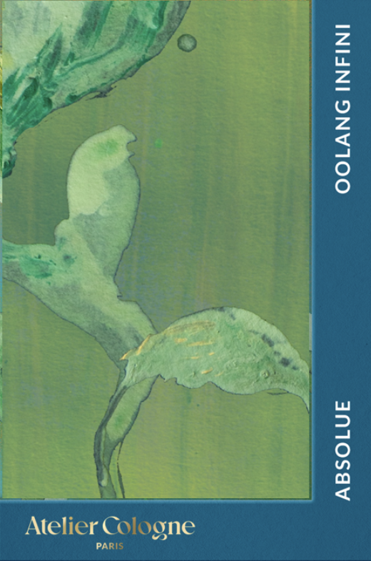 Screenshot 2026-02-12 at 20.44.12.png