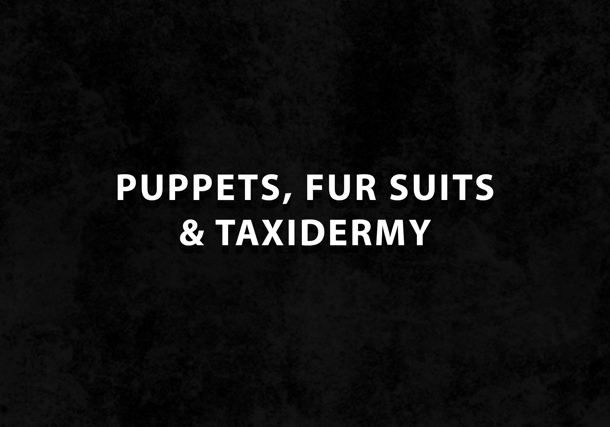 DHFX_Puppets_Fursuits_Taxidermy.png