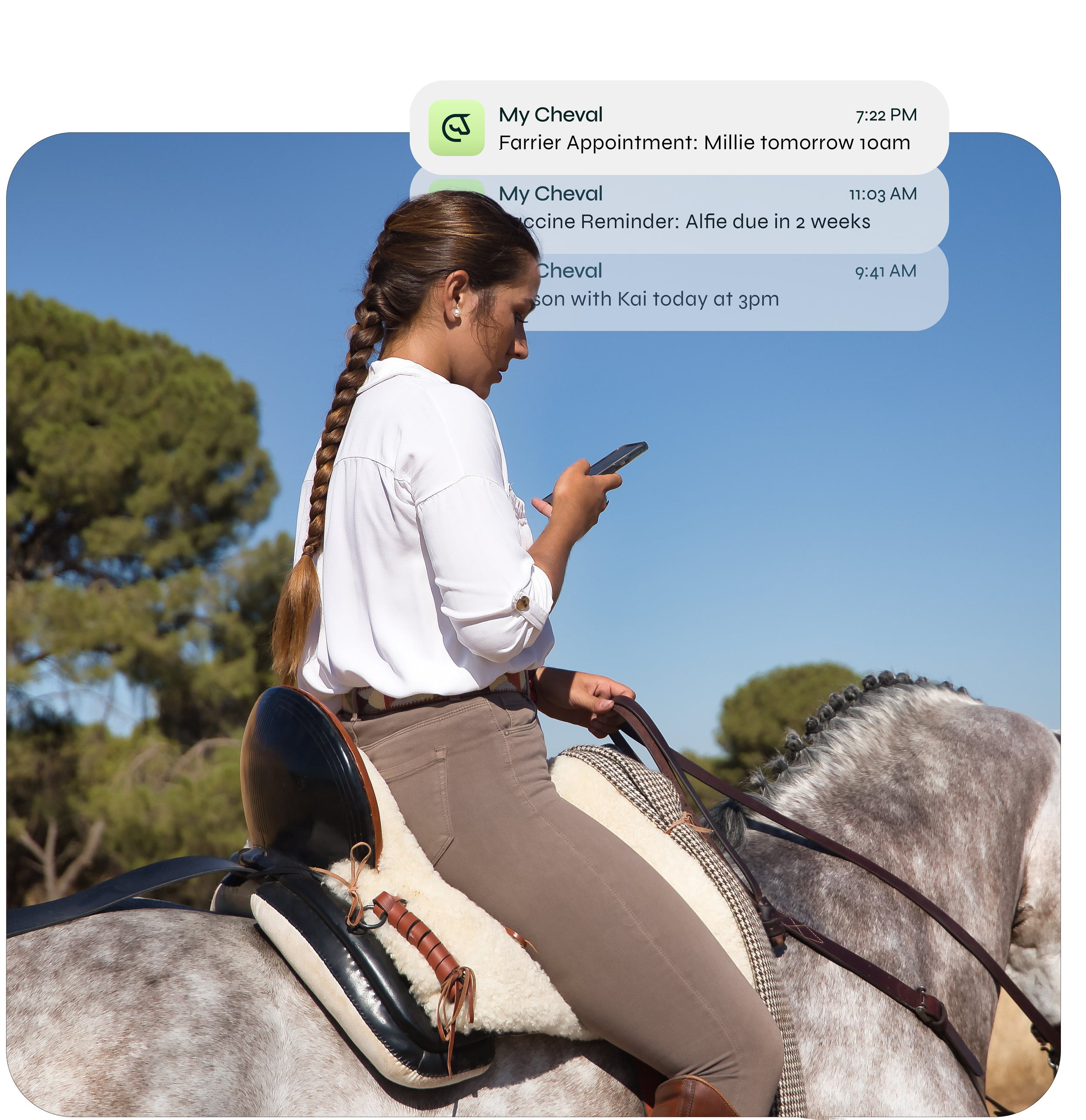 A young woman with a braid, wearing a white shirt and beige pants, riding a gray horse outdoors under a clear blue sky, looking at her phone. There are three chat notifications about her horse and appointment reminders.
