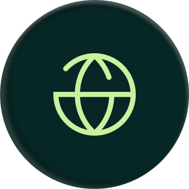 Icon of a globe with a grid pattern on a dark circular background.