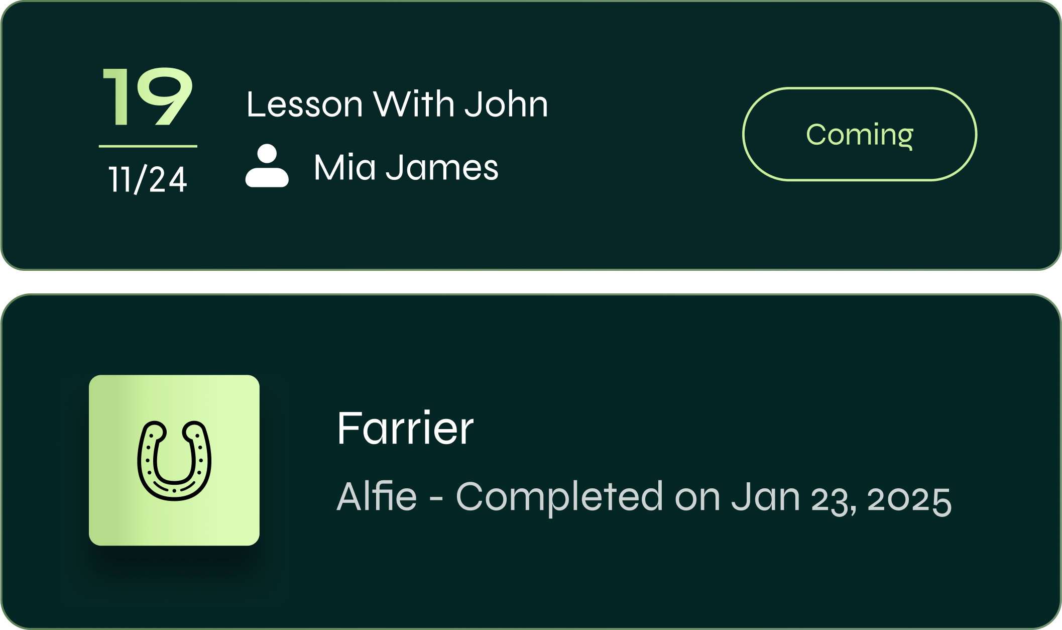Calendar event details for November 24, 2019, titled 'Lesson With John' featuring Mia James, with a status labeled 'Coming'. An icon of a horse shoe and information about a horse named Farrier, who was born in Alfie and completed on January 23, 2025.