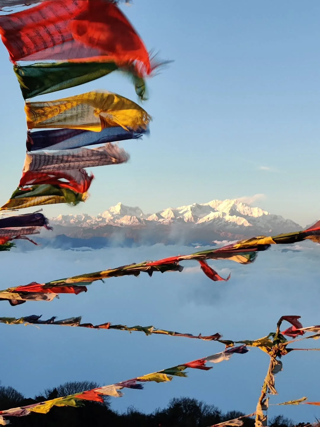 Imagine ending the year with this view. Now stop imagining and come and witness it for yourself! 😁
.
Dates - 27th Dec to 2nd Jan, surprise trek
.
.
.
.
.
#himalayas #trekking #nature #hiking #travel mountains