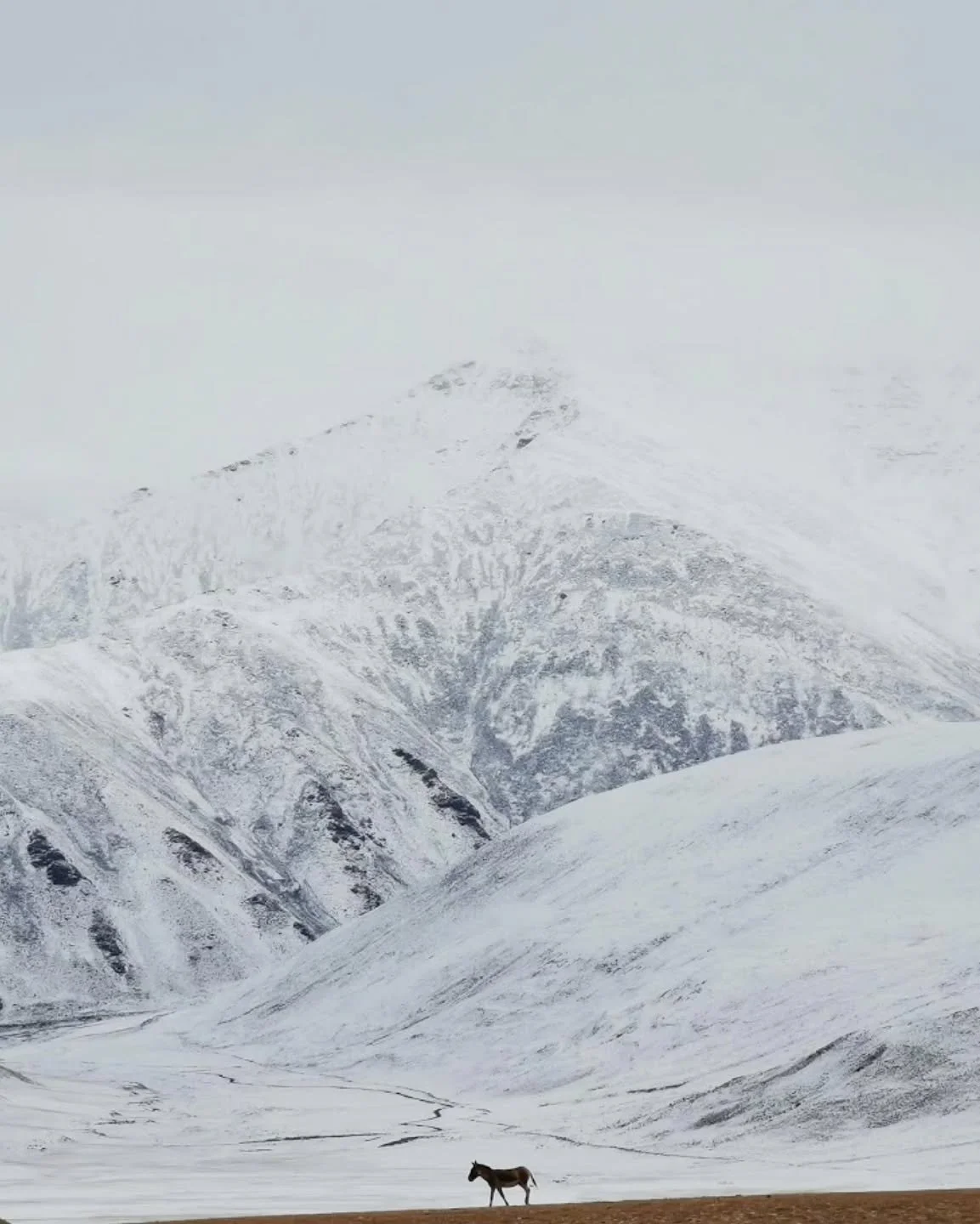 Late September, Ladakh (2019).
The first snow showed up like a quiet warning, asking us to pack up and not venture deep into any inaccessible terrain anymore. Basically telling us the season&rsquo;s over.
Luckily we were almost at the end anyway, we 