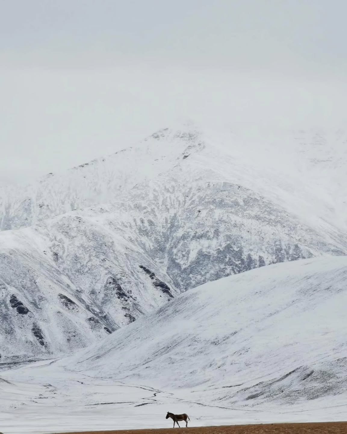 Late September, Ladakh (2019).
The first snow showed up like a quiet warning, asking us to pack up and not venture deep into any inaccessible terrain anymore. Basically telling us the season&rsquo;s over.
Luckily we were almost at the end anyway, we 