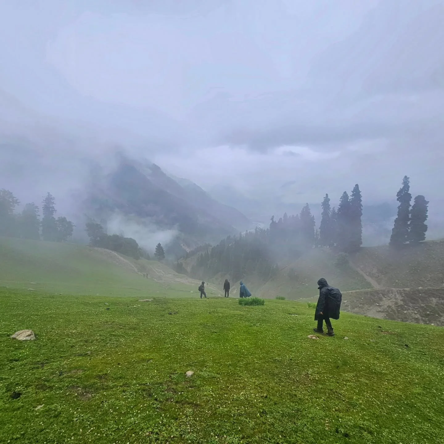 We were at camp, planning to head towards Gadsar Pass next. There was a slight drizzle and the forecast didn&rsquo;t look great for the next couple of days.

The horsemen weren&rsquo;t too convinced either. They knew the mountain better than we did, 