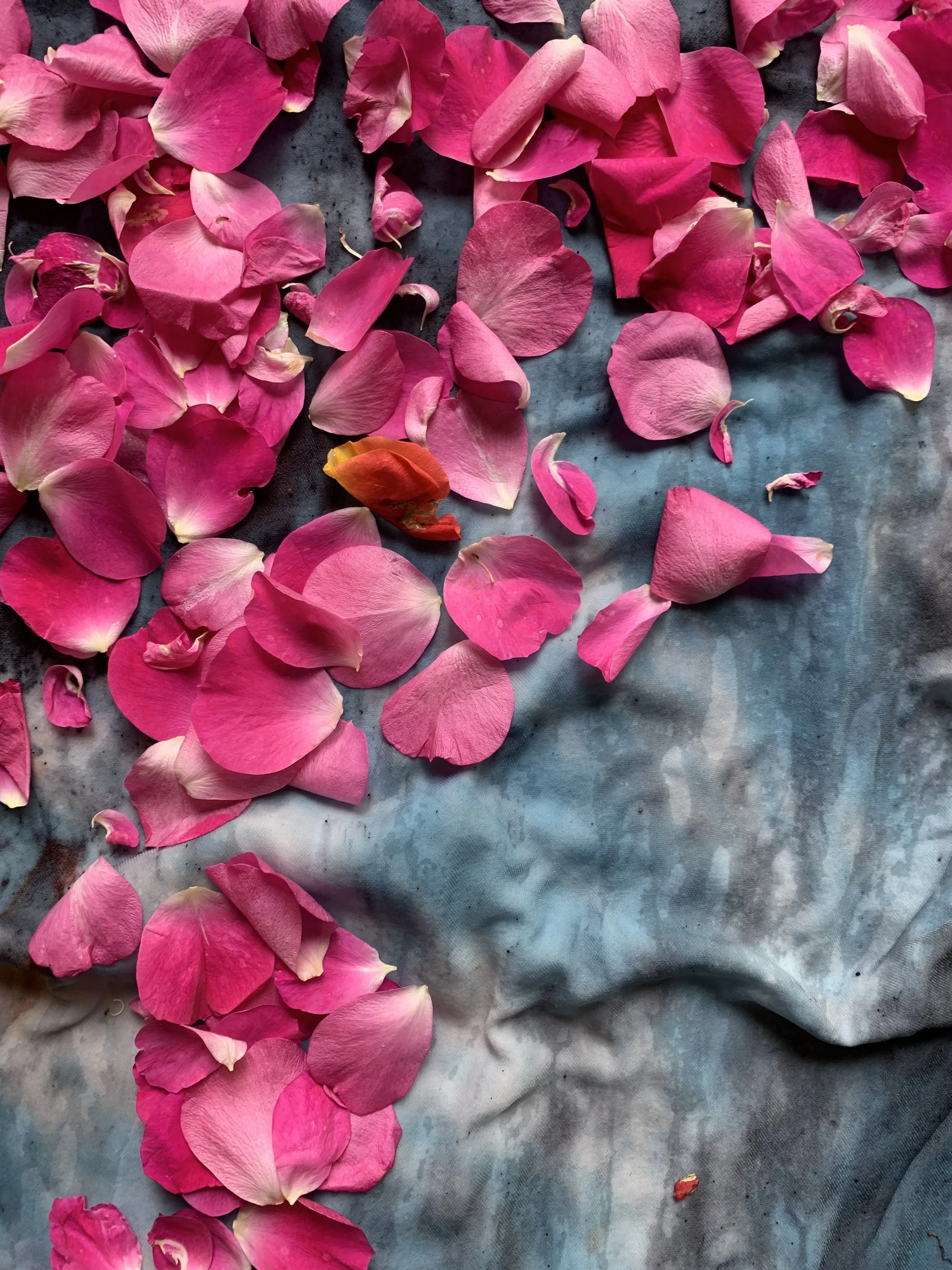 flower dye process 7.jpg