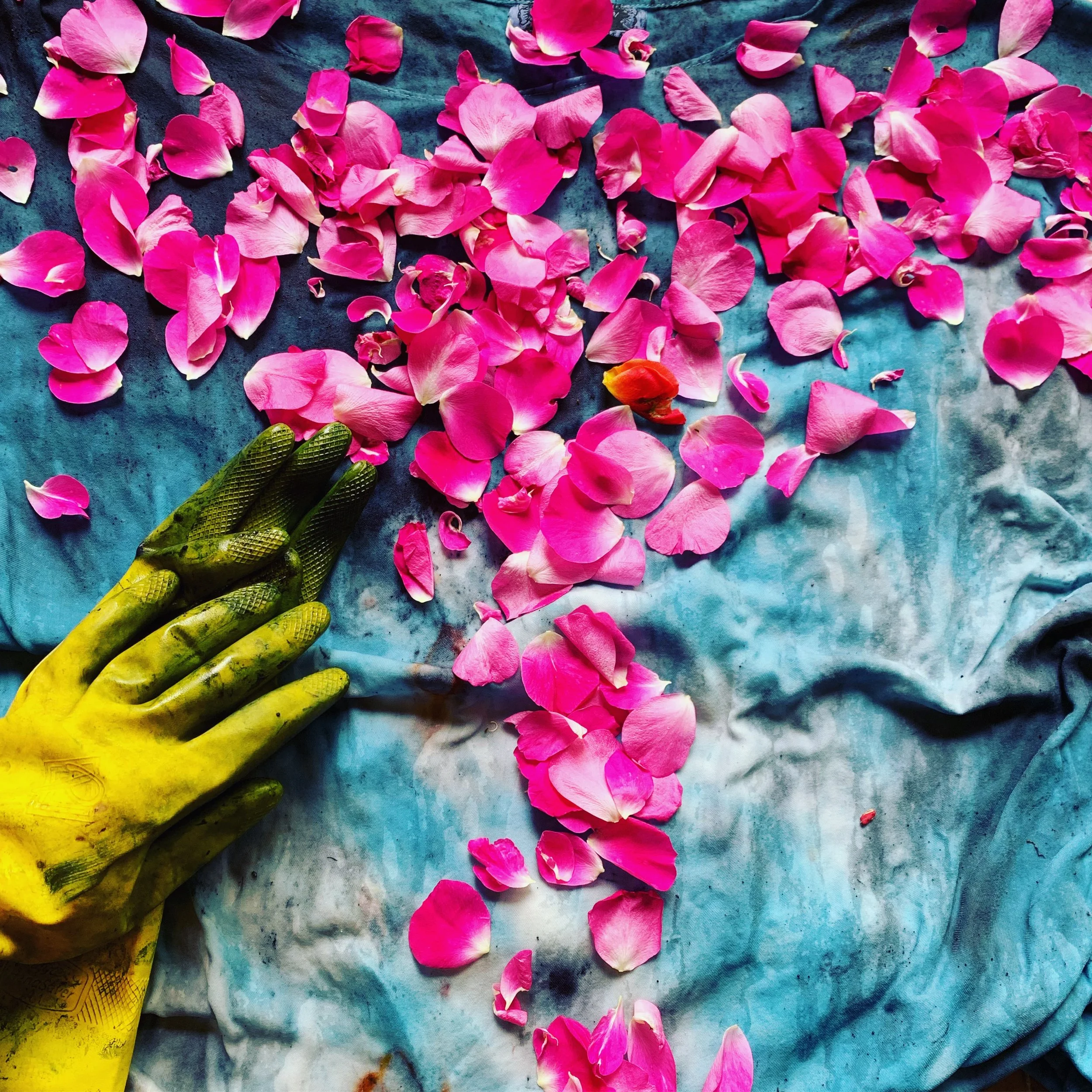 flower dye process 8.jpeg