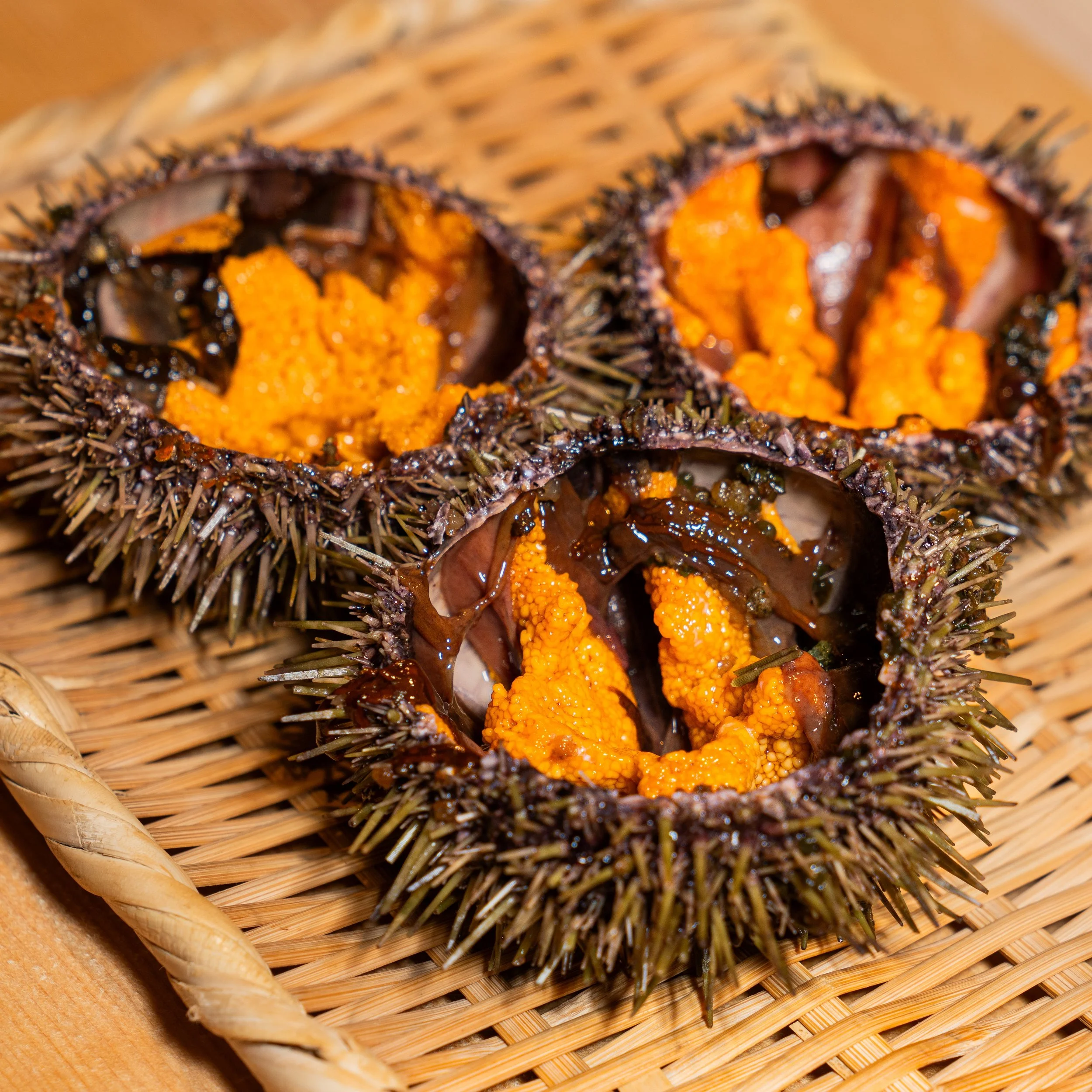 TAKU’s Commitment to sustainability