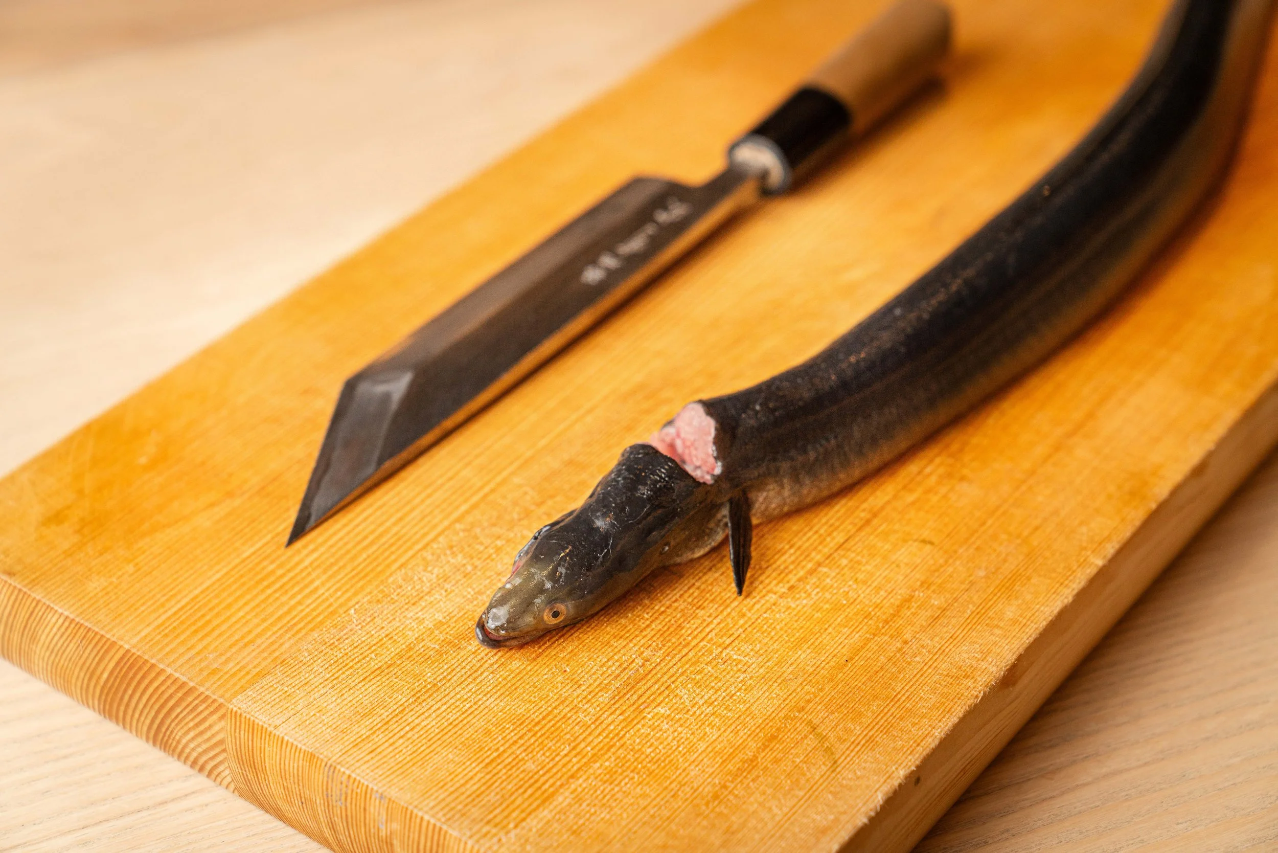 Precision in Every Slice: The Knife Skills Behind TAKU’s Sushi