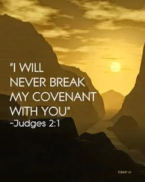 Judges 2v1.jpg