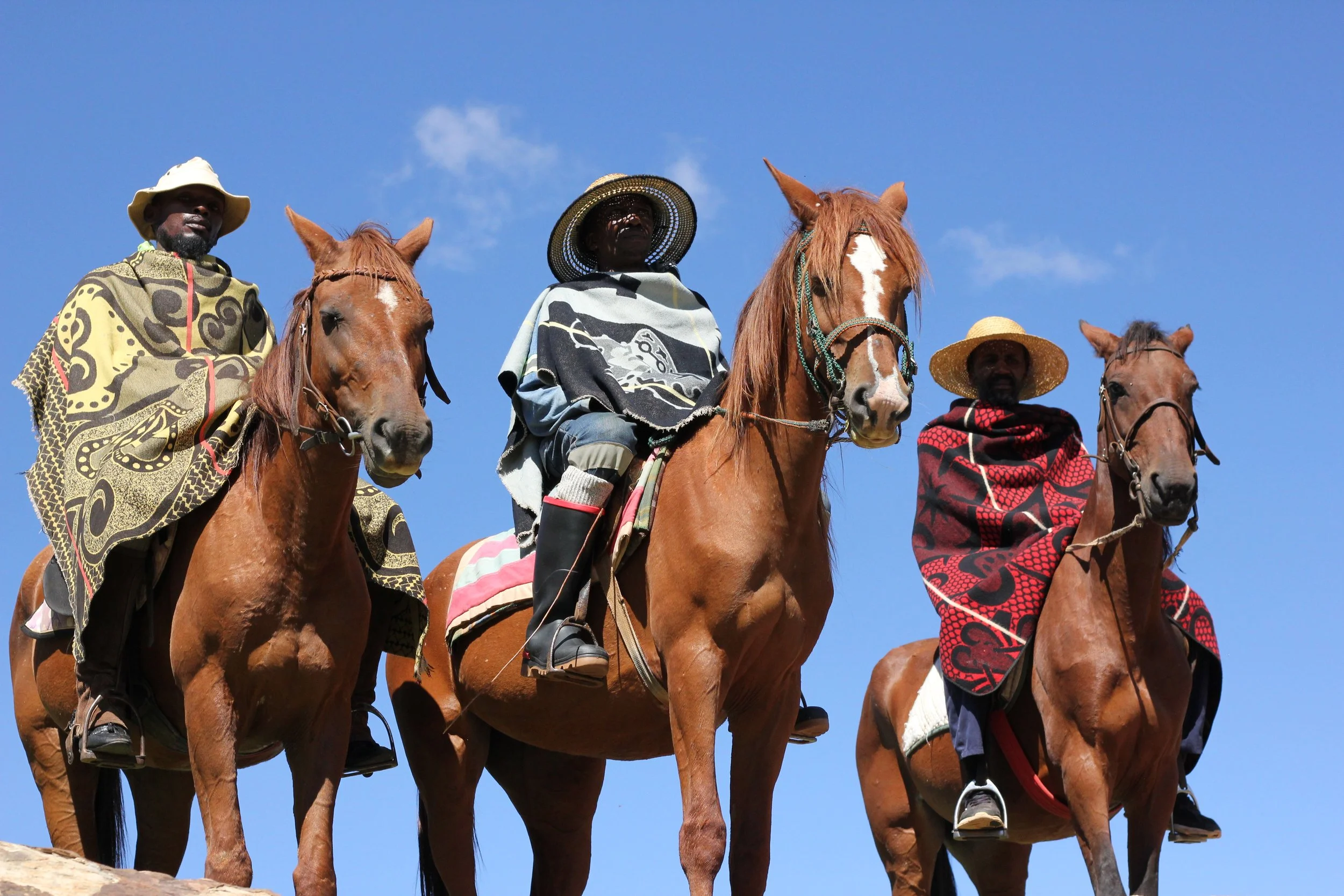 THE HORSEMEN OF MALELEA