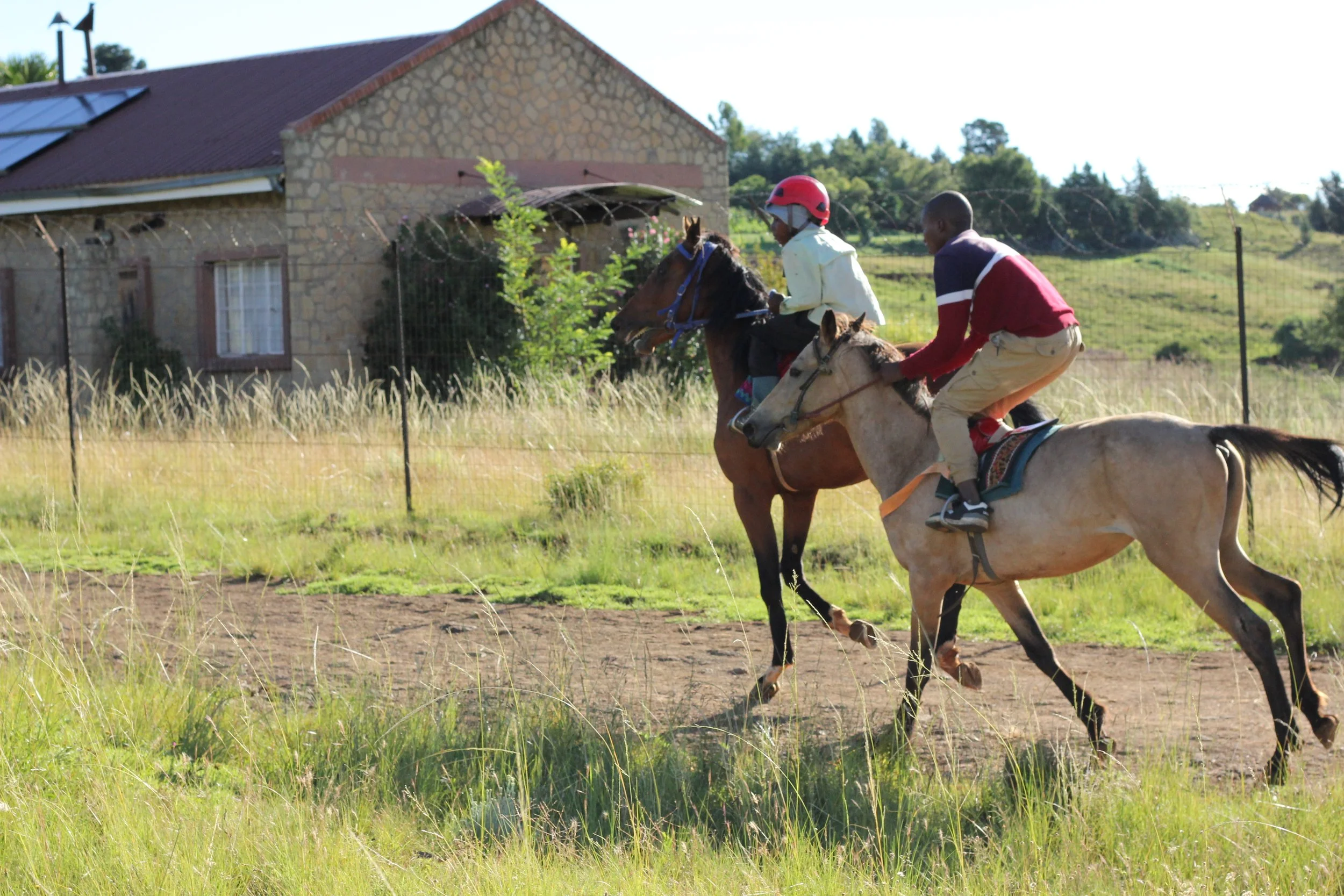 A DAY AT THE RACES