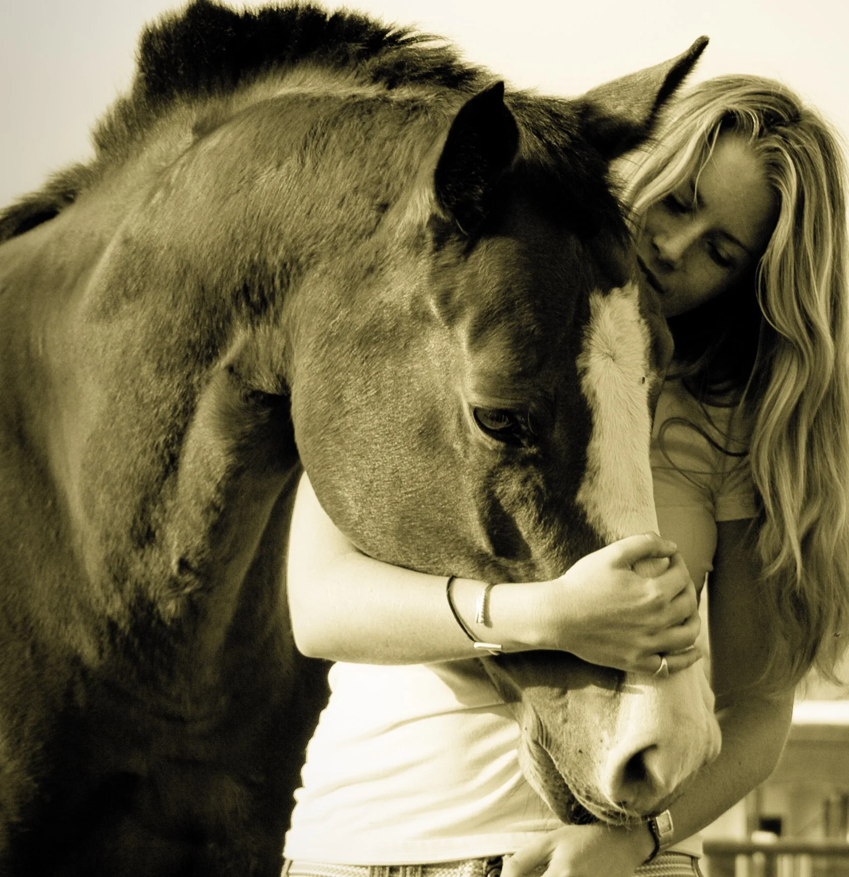 A woman hugging a horse.