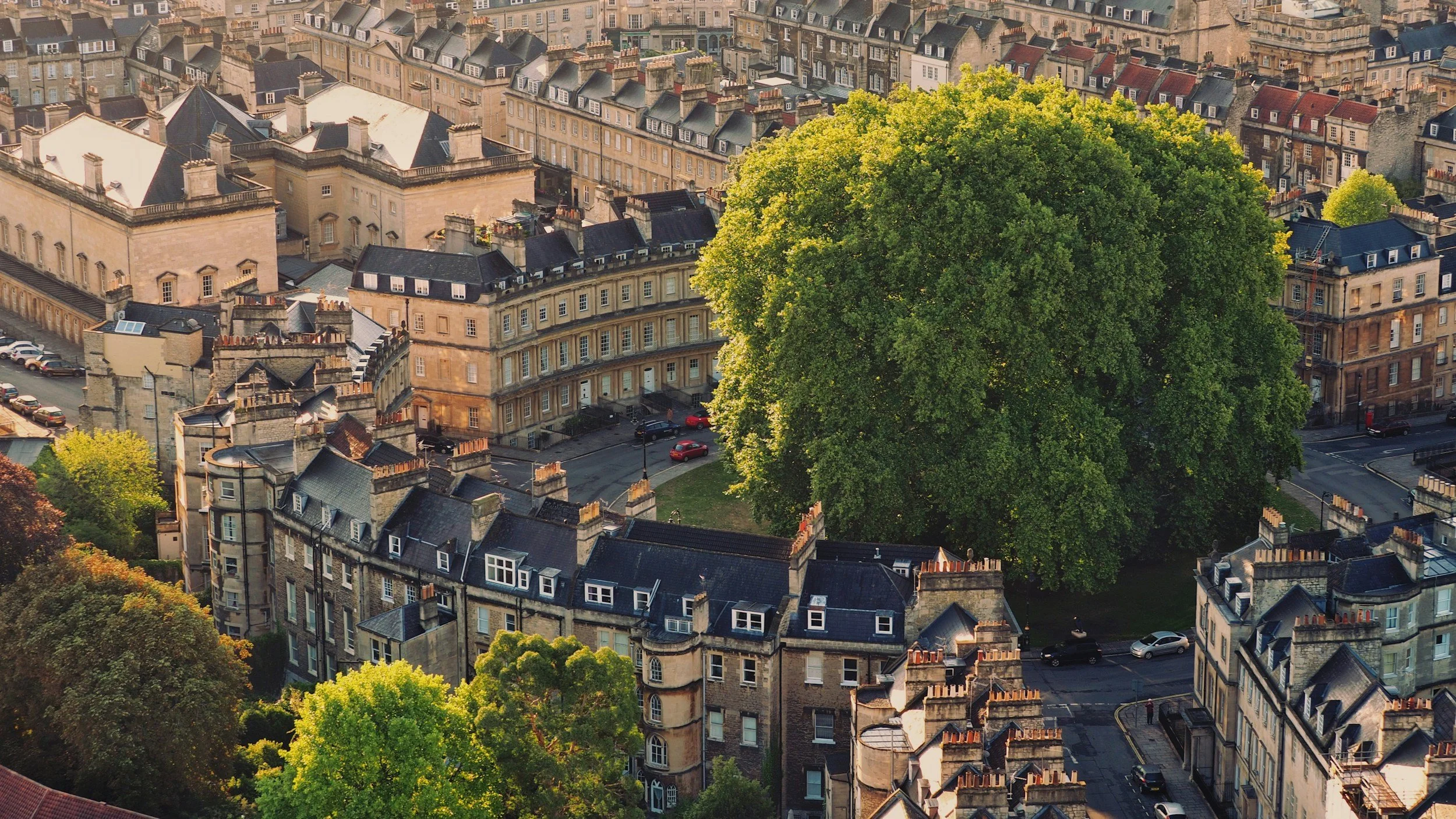 Aerial view of a city neighborhood with tightly packed historic buildings, many with chimneys and slate roofs, surrounding a large green tree in the center.