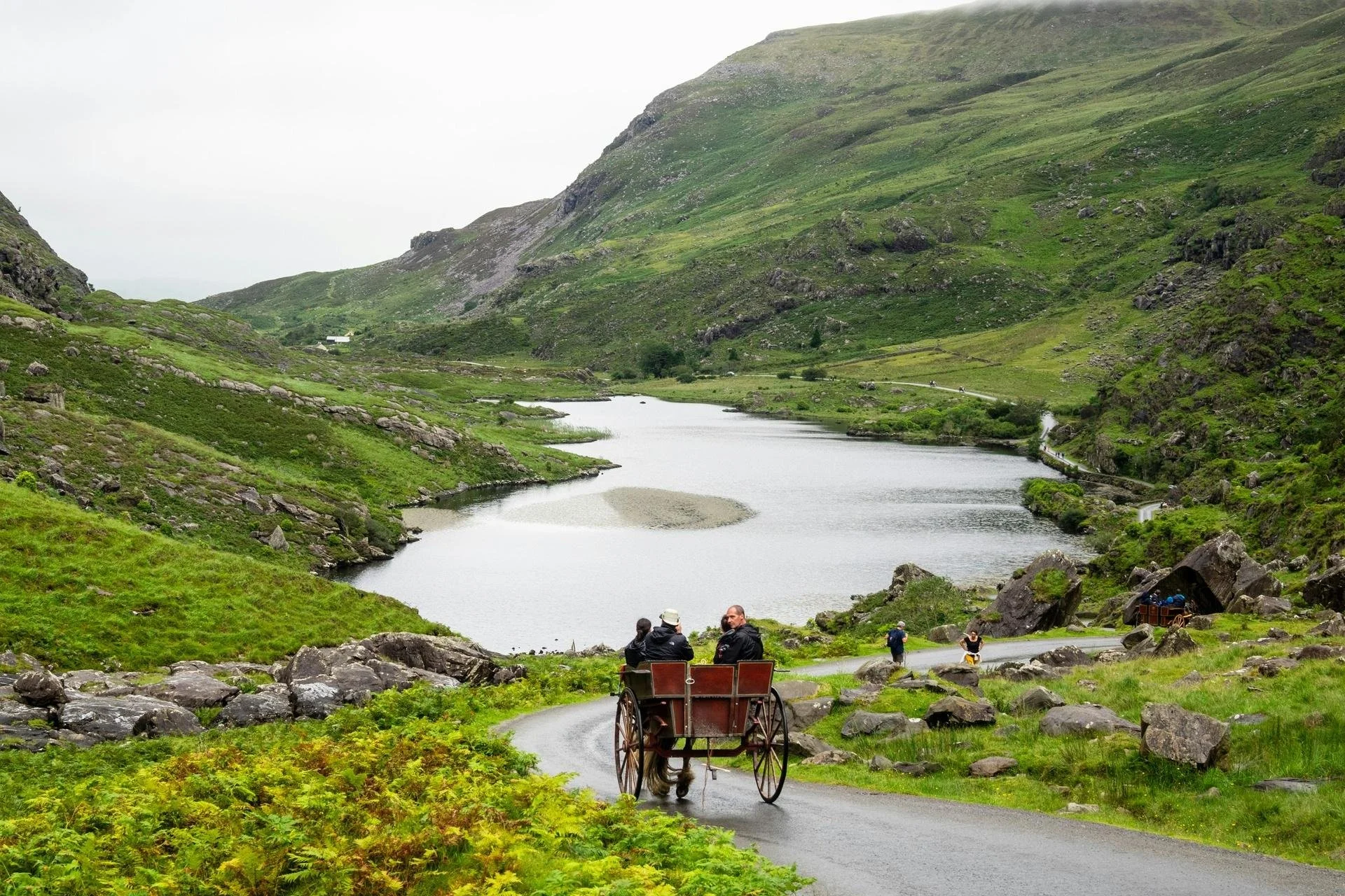 a set of people traveling via jaunting car through killarney national park with a lake ahead of them