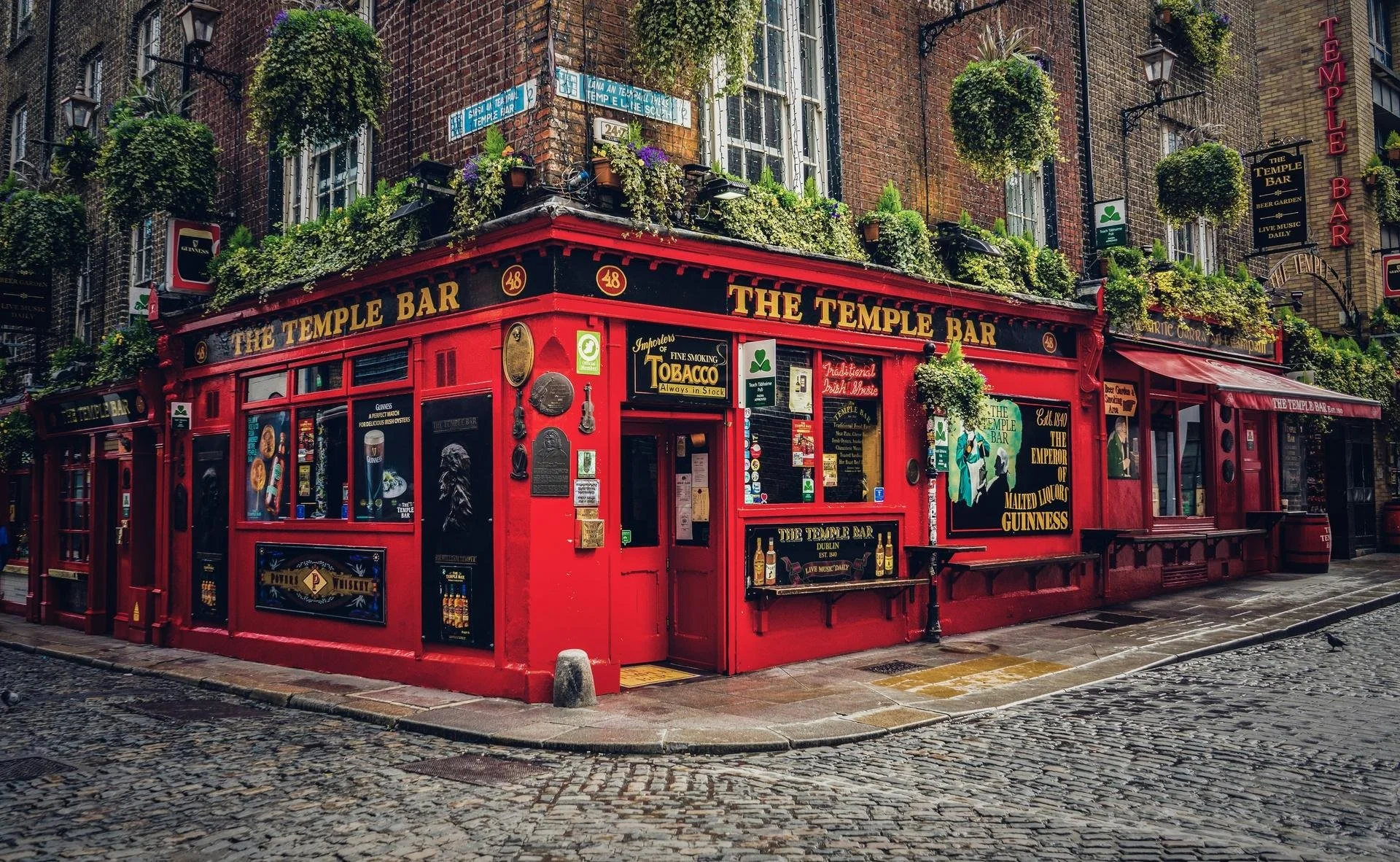 a red pub named temple bar with lush greenery decorating it