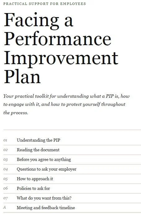 Navigating Your PIP (Toolkit)