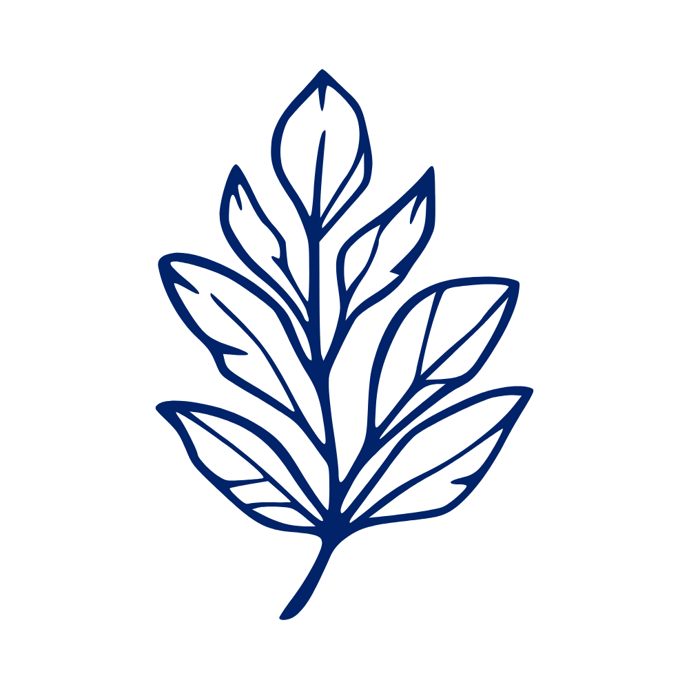 Leaf icon