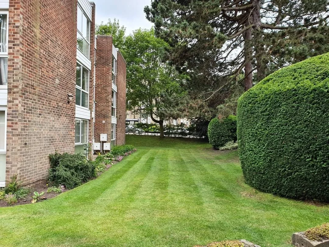 Commercial Gardeners Harrogate 04.jpg
