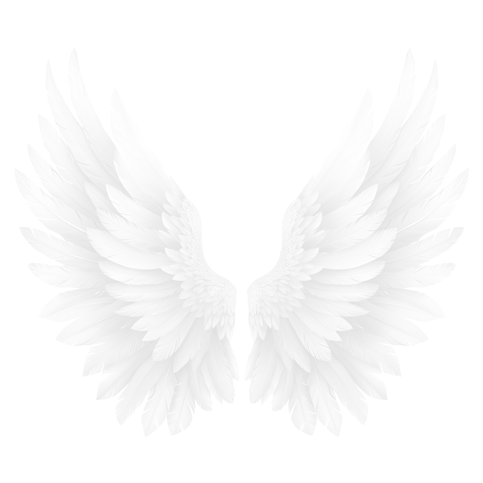 Healing & Reading Combo 1.5 Hours