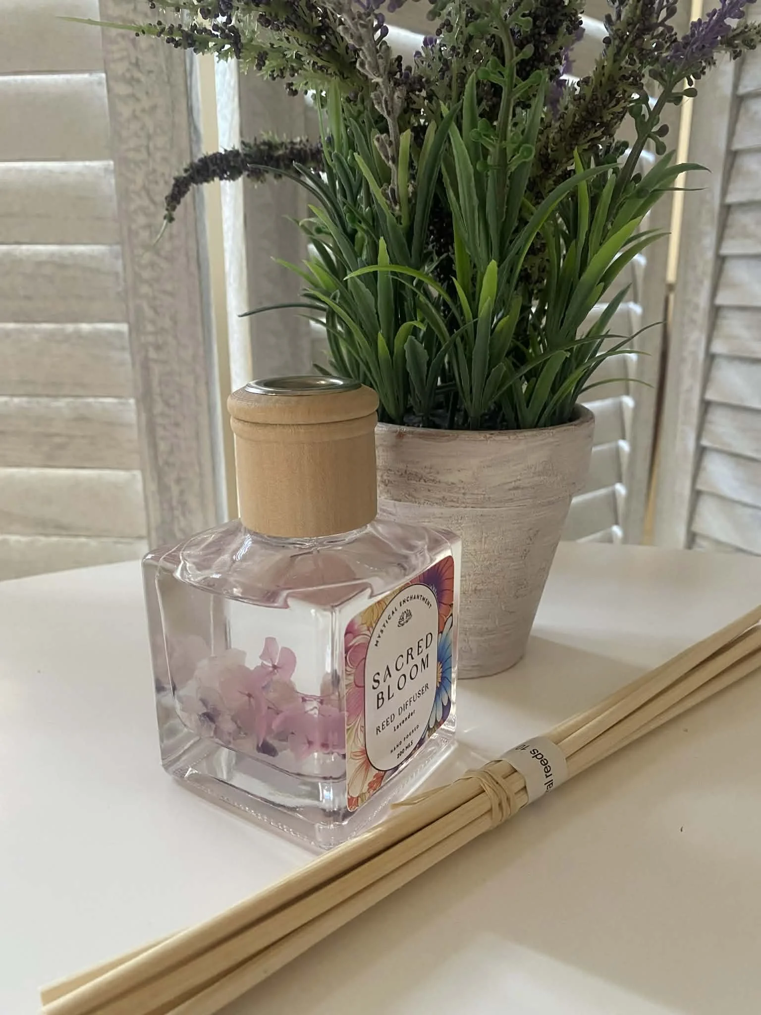 05c52813-56fa-4460-8ffe-4b6b31f69b05 (1).jpg