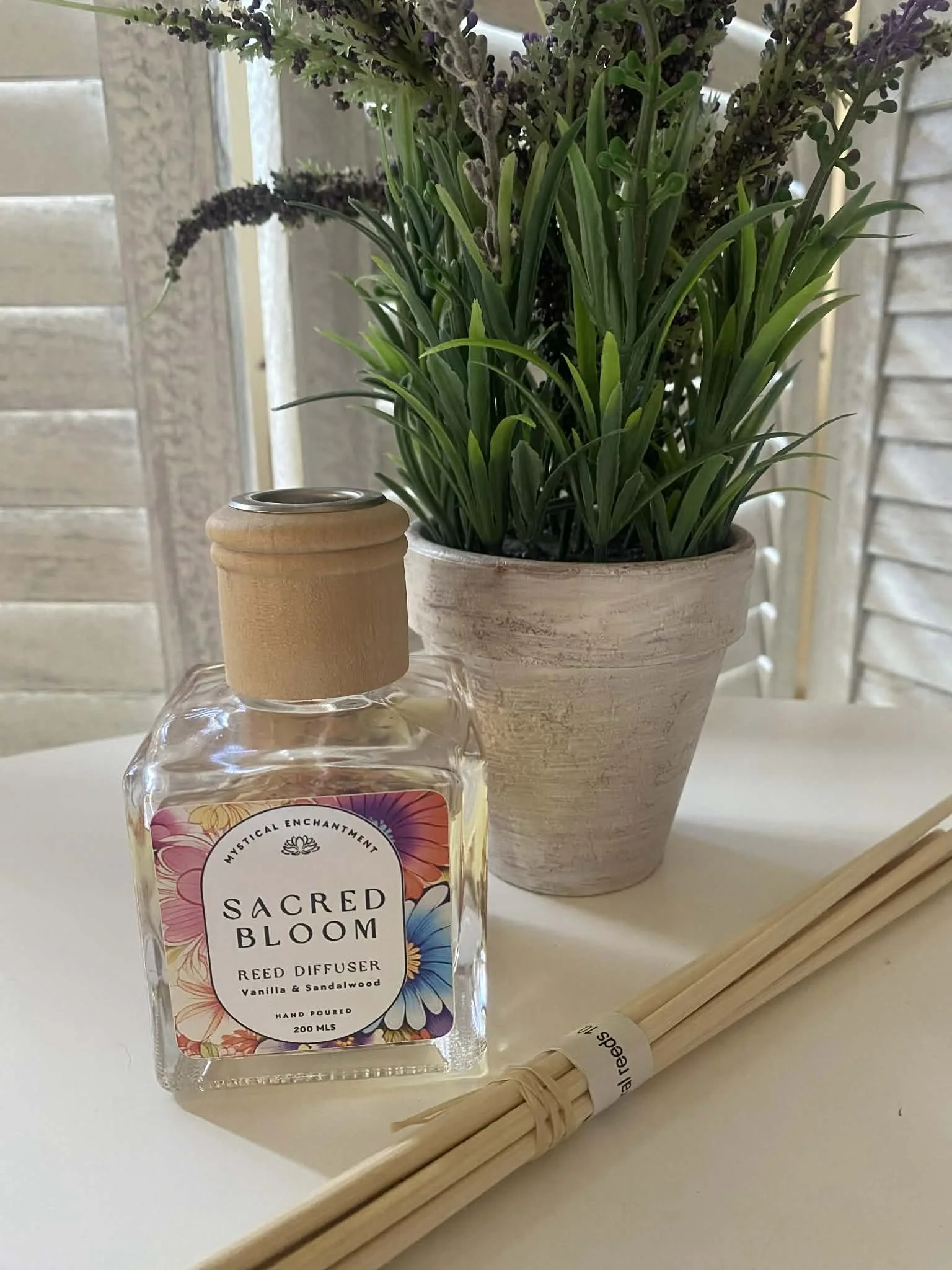 840a88ab-8cfb-4575-9b36-e4a2ade2a6c6 (1).jpg