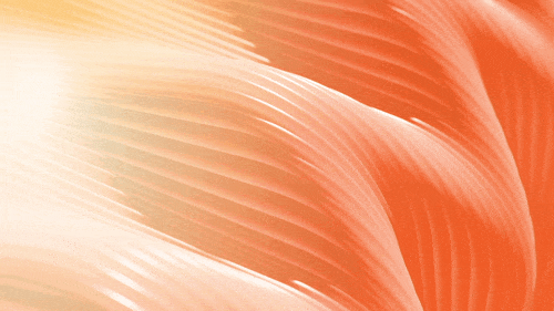 Close-up of textured coral and cream-colored abstract pattern with curved lines.