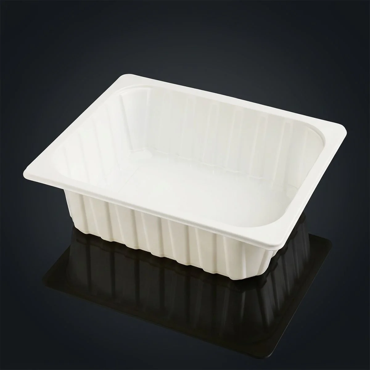 Gastro GN-1/2-100 (5500 ml)