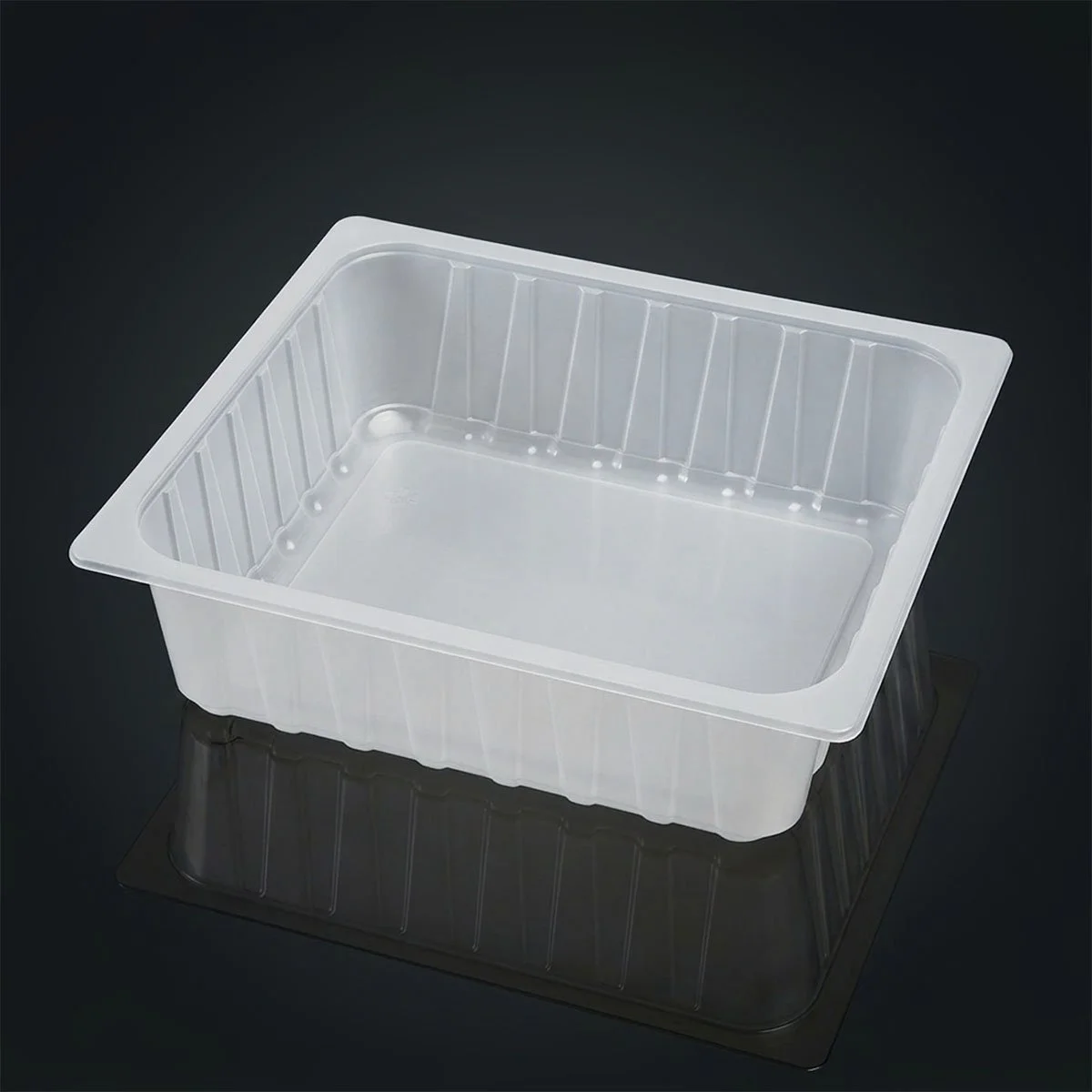 Gastro GN-2/3-100 (6000 ml)
