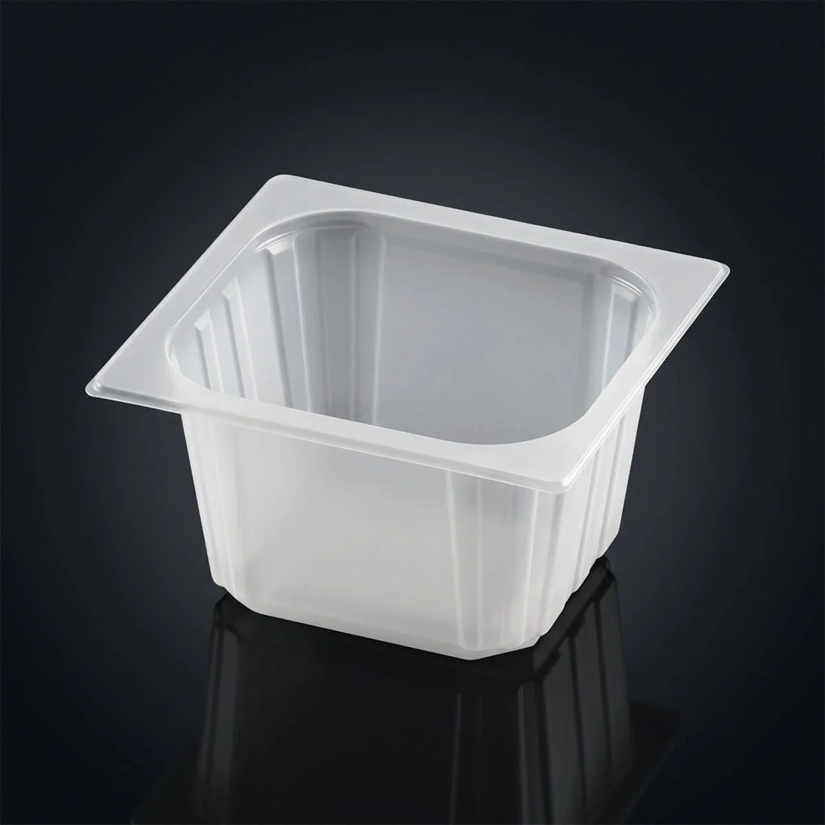 Gastro GN-1/6-100 (1500 ml)
