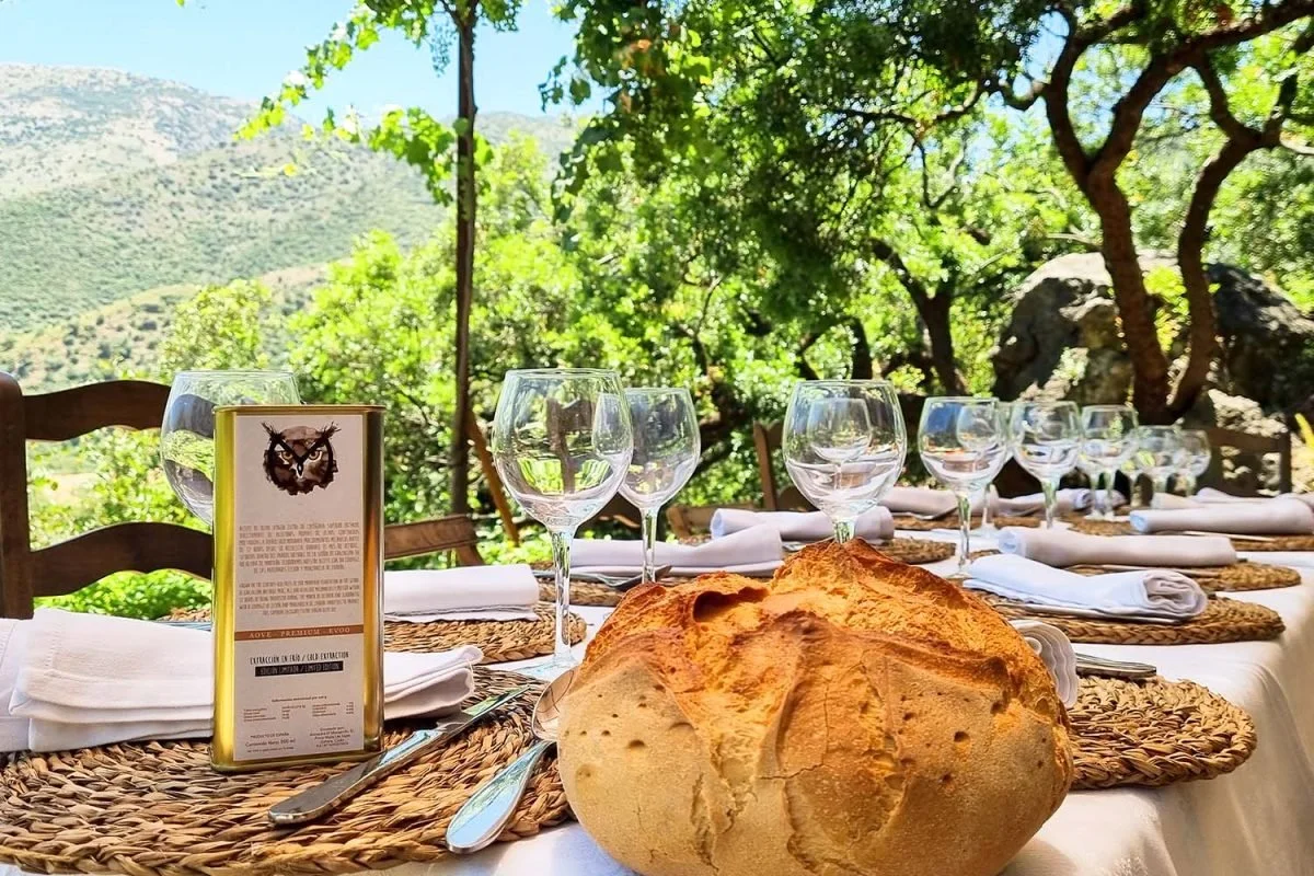 An outdoor dining table with woven placemats, folded white napkins, and empty wine glasses, set against a scenic background of green trees, rocks, and mountains.