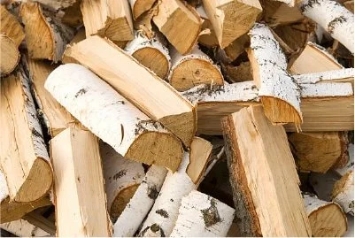 Träklabbar, några med vit och några med brun bark.