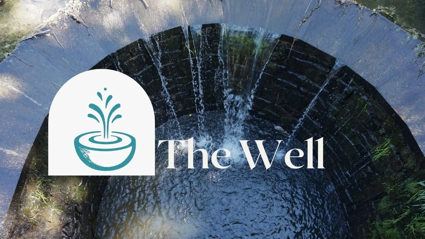 Logo of a stylized fountain inside a water bowl, accompanied by the text 'The Well' over a background of a stone well with water flowing into it.