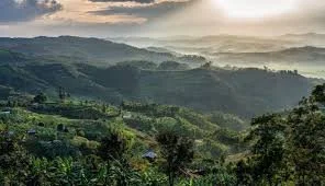 Scenic view of green rolling hills and mountains with a cloudy sky