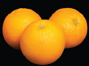 Orange Body Butter Cream