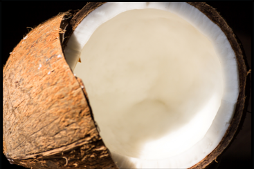 Coconut Body Butter Cream