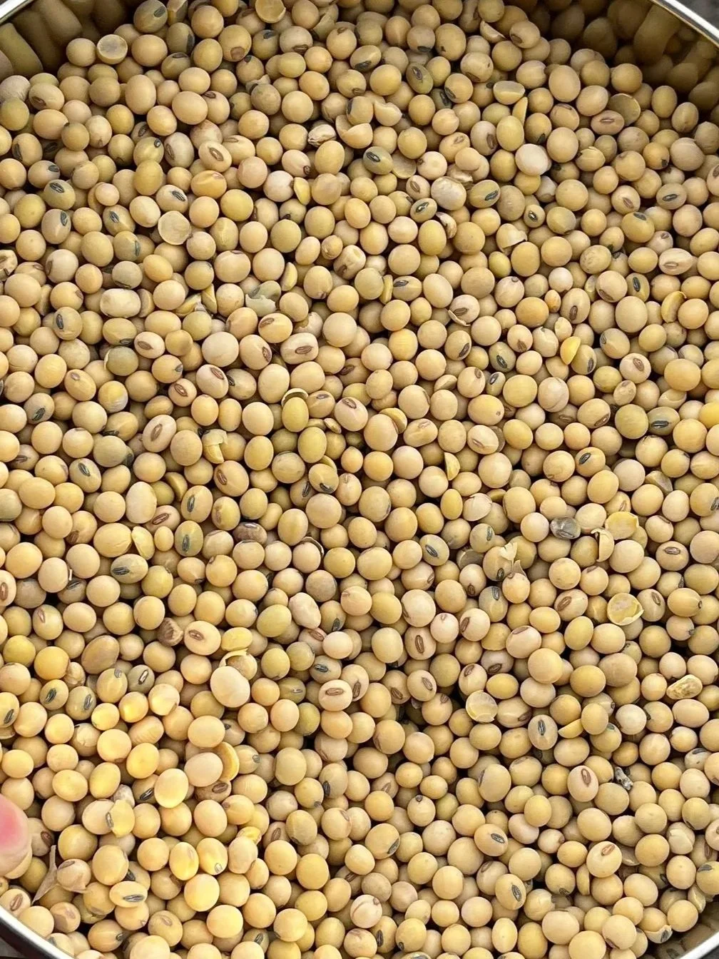 Soybeans