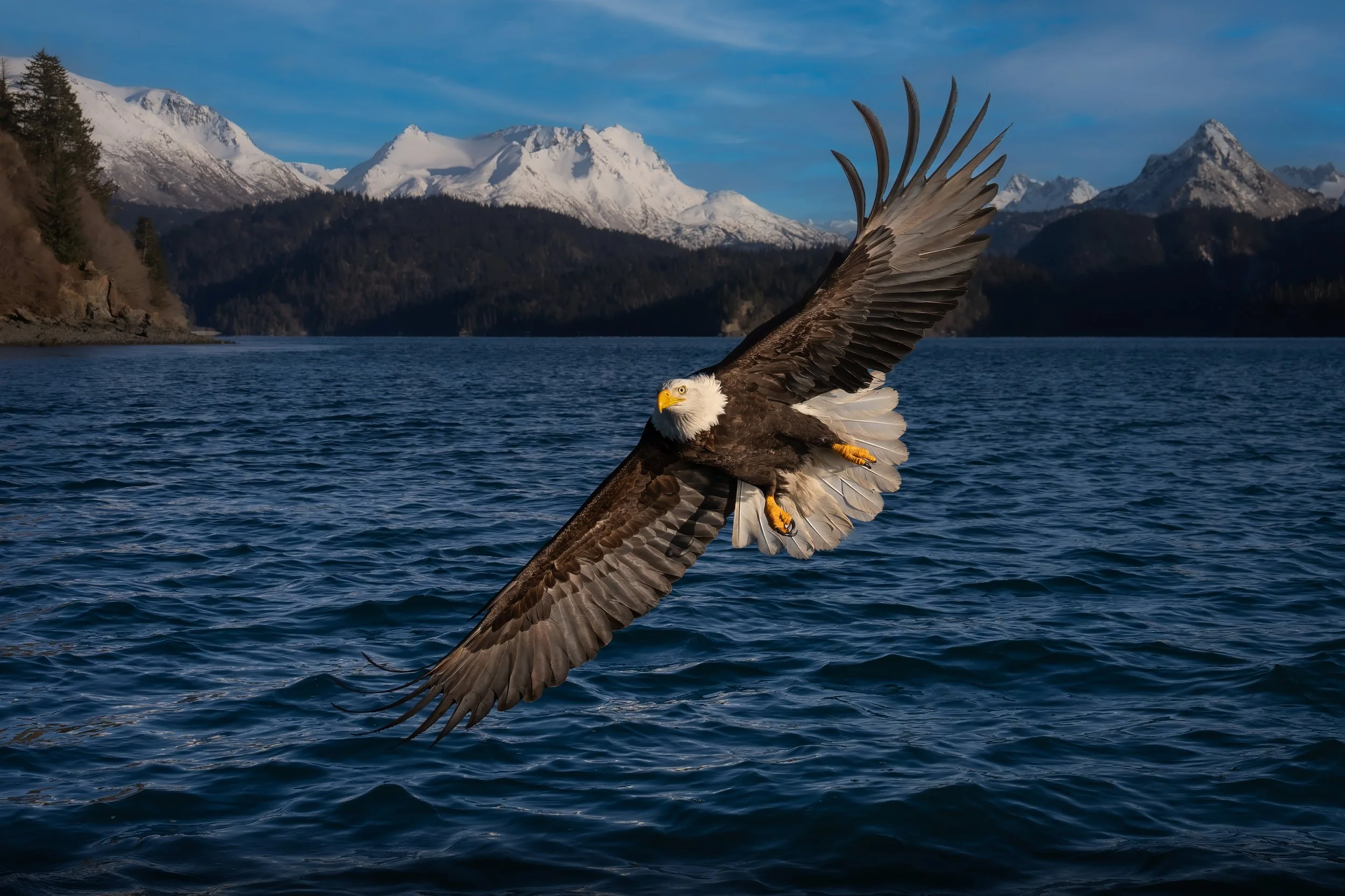 A bald eagle flying over a body of water with snow-capped mountains and forested hills in the background.
