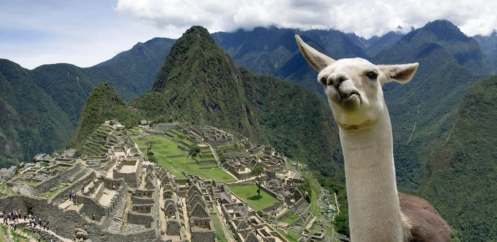 A photograph of Machu Picchu with a digitally added llama in the foreground.