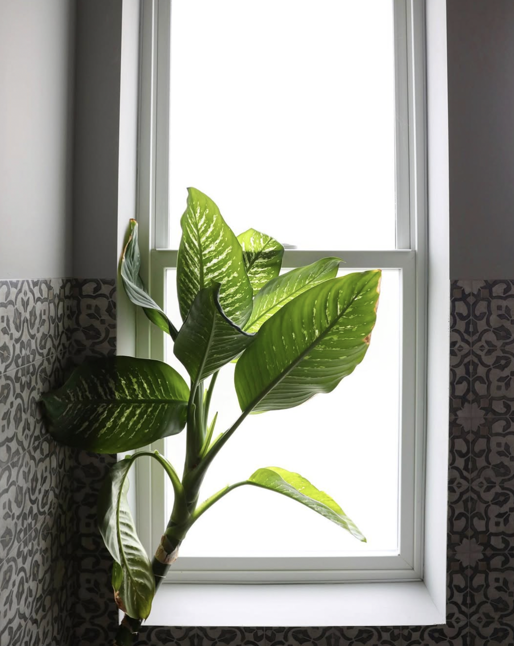 Welcome to your yoga practice at Studio One Yoga