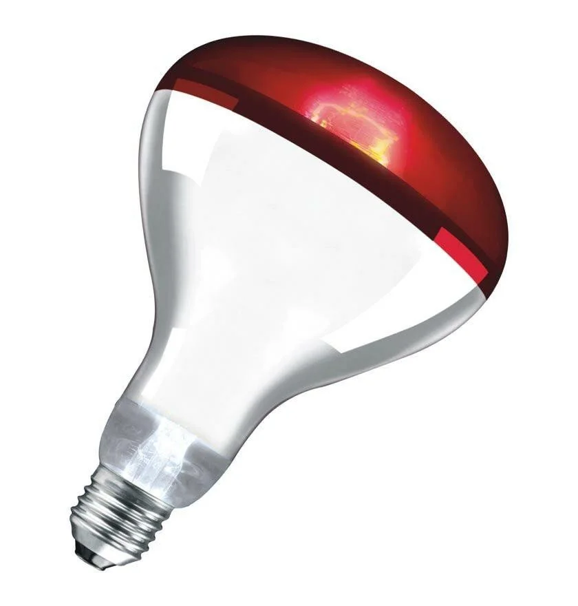 red bulb.jpg